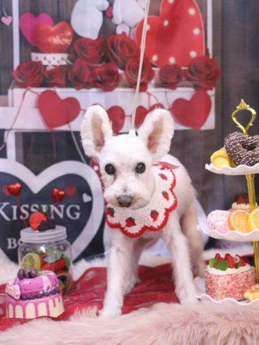 20250208小梅ちゃん